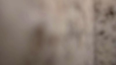 pet_bras webcam model stream image