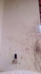 Karolinafochat webcam model stream image