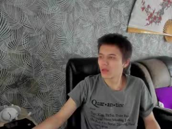 vialeras webcam model stream image