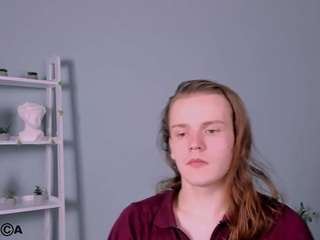 leo-void webcam model stream image