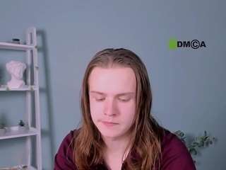 leo-void webcam model stream image