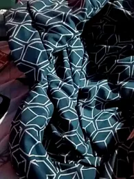 1C2AM22 webcam model stream image