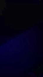 roultacam webcam model stream image