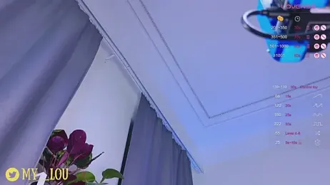 MyLoulaby webcam model stream image