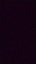 Whonder webcam model stream image