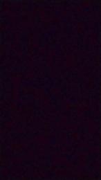 Whonder webcam model stream image