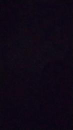 Whonder webcam model stream image