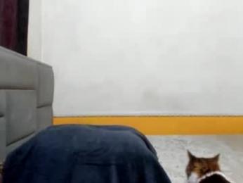 dick_demon_1 webcam model stream image