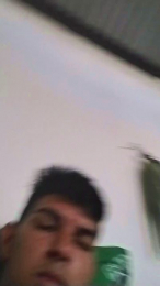 zenzero19 webcam model stream image