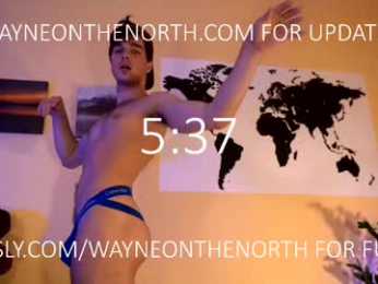 waynenorth webcam model stream image