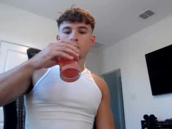 domd3 webcam model stream image