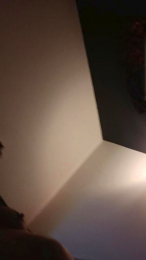 Deepswimr webcam model stream image