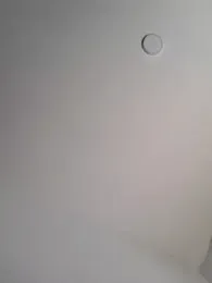 Danielaeliana webcam model stream image