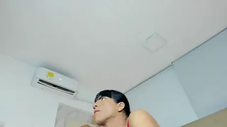 lapitti webcam model stream image