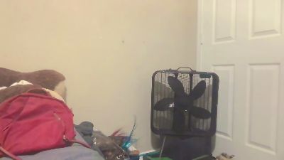 raytf webcam model stream image