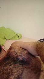 Deniwolf96 webcam model stream image