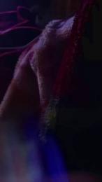 JohnnyD989 webcam cam4 model stream image