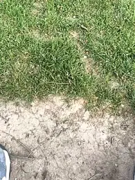 geilerboy2628 webcam model stream image