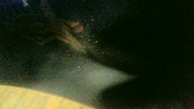 robyk9 webcam model stream image