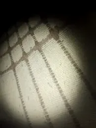 Aragis35 webcam model stream image