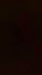 Pasajuis webcam model stream image