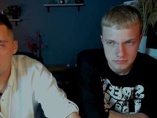 fin-fire webcam model stream image