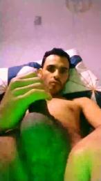 Fauron webcam model stream image