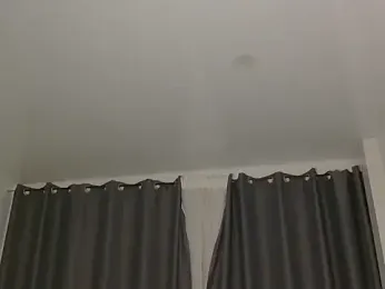 LionEdwin webcam model stream image