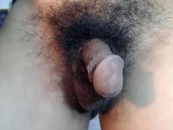 cutie_mico webcam model stream image