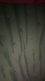 johnyy4444 webcam model stream image