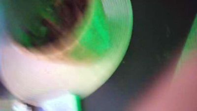 pallopinco2 webcam model stream image