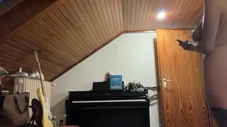 ClaireDeLunee webcam model stream image