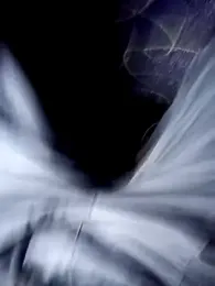 Nemon webcam model stream image