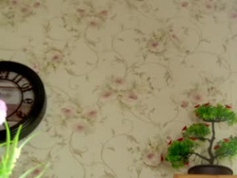 classymelyna webcam model stream image