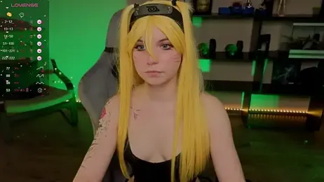 zelda_1 webcam model stream image