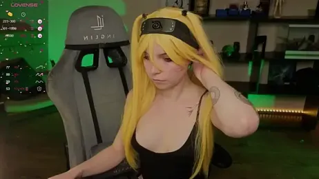 zelda_1 webcam model stream image