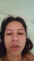 Paascsle webcam model stream image