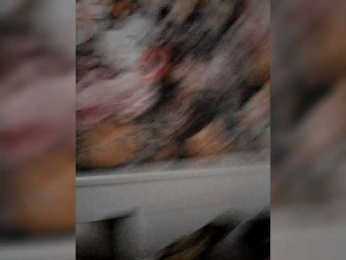 WILD69AAA webcam model stream image