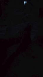 Ptcasal1 webcam model stream image