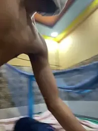 Bull_inside29 webcam model stream image