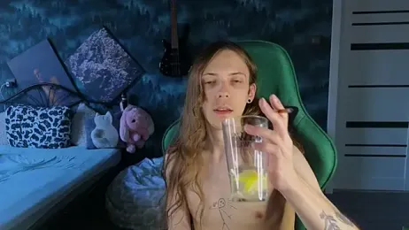 artass2 webcam model stream image