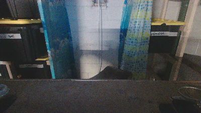 Hungthickbrit50 webcam model stream image