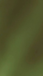 luisito345 webcam model stream image