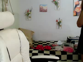 snow_2000 webcam model stream image
