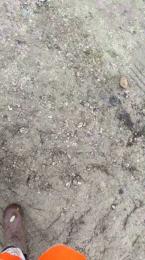 Lougarou78 webcam model stream image