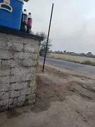 King_night1 webcam model stream image