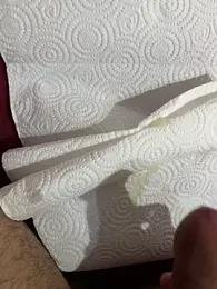 Aden_P2 webcam model stream image