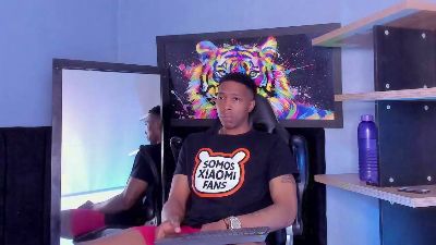 daviincii_ webcam model stream image