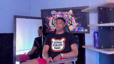 daviincii_ webcam model stream image