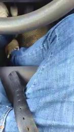 Louis493 webcam model stream image